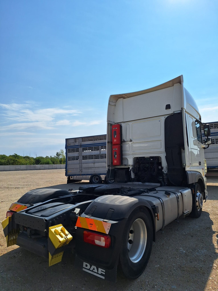 DAF XF 480 - وحدة جر: صورة 5 DAF XF 480 - وحدة جر: صورة 5