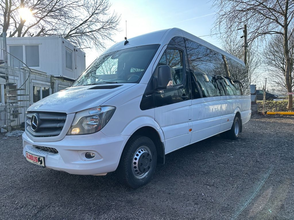 حافلة صغيرة, ميكروباص Mercedes-Benz Sprinter Altas 516 CDi Multiline (DE*AC*Reise): صورة 6