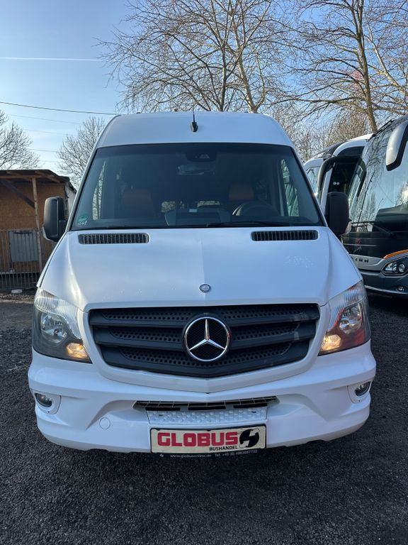 حافلة صغيرة, ميكروباص Mercedes-Benz Sprinter Altas 516 CDi Multiline (DE*AC*Reise): صورة 8