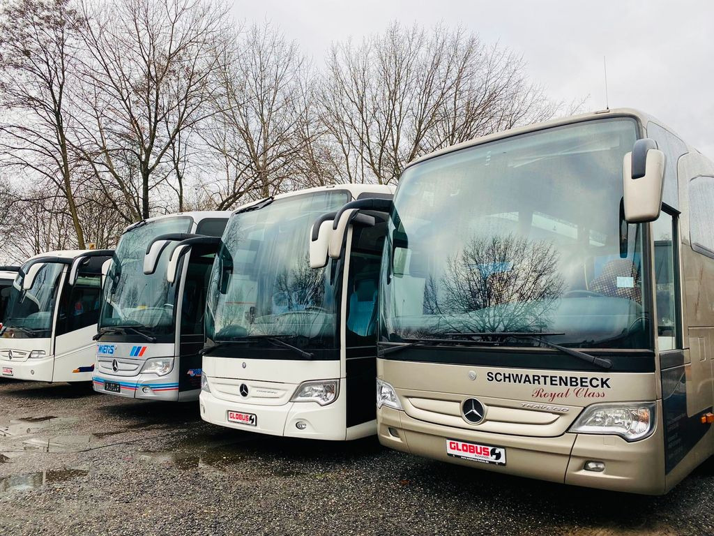 حافلة صغيرة, ميكروباص Mercedes-Benz Sprinter Altas 516 CDi Multiline (DE*AC*Reise): صورة 17