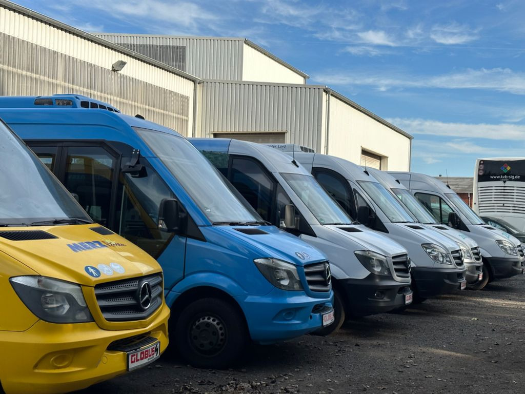 حافلة صغيرة, ميكروباص Mercedes-Benz Sprinter Altas 516 CDi Multiline (DE*AC*Reise): صورة 19