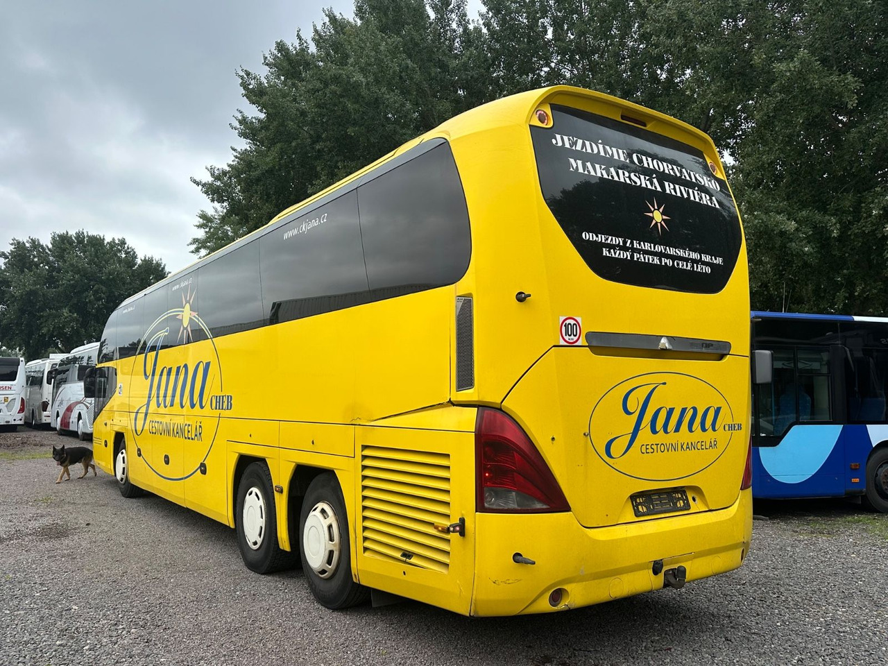 Neoplan P15 Cityliner Euro4*55 Sitze - مركبة كوتش: صورة 2 Neoplan P15 Cityliner Euro4*55 Sitze - مركبة كوتش: صورة 2